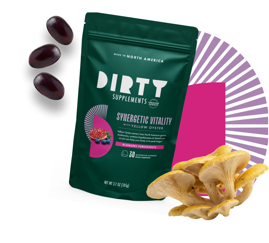 Dirty Supplements Synergetic Vitality Yellow Oyster mushroom gummies with blueberry pomegranate flavor and mushroom ingredient display.