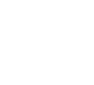 Illustration of Dried Mushroom Powder