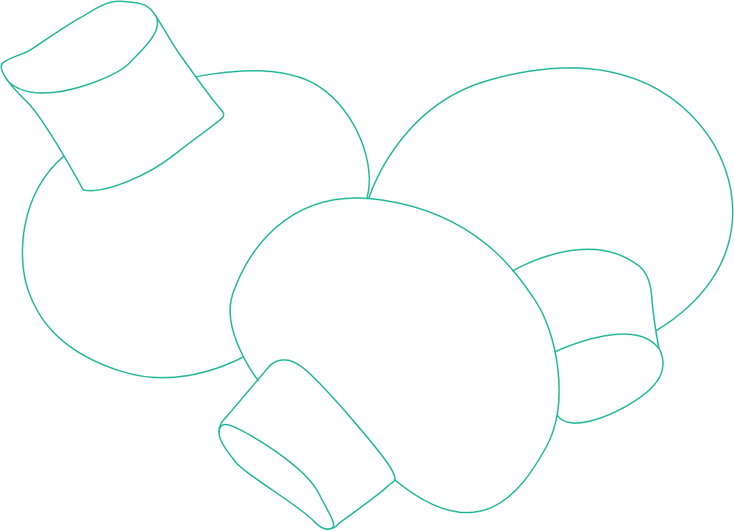 Mushroom illustration