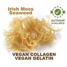 Raw and Vegan Irish Moss Seaweed Collagen