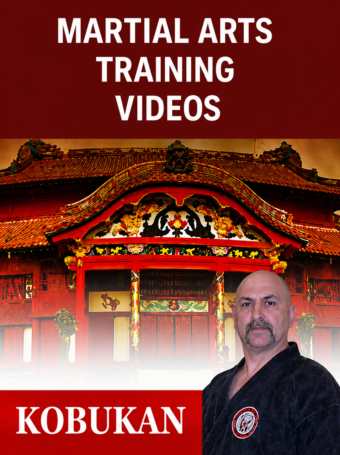 Picture of Advertisement, Poster, Adult, Male, Man, Person, Face, Head, Building with text MARTIAL A...