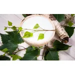 Picture of Plant, Nut, Vegetable, Food, Fruit, Coconut