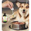 Picture of Food Presentation, Food, Dog, Animal, Pet, Canine, Mammal with text HEMP OIL 100 CHETARY ...