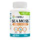 Oweli Organic Sea Moss