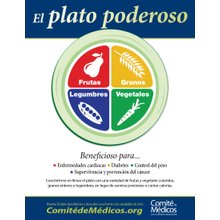 Power Plate Brochure/ Plato Poderoso