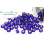 Picture of Berry, Blueberry, Food, Fruit, Produce, Accessories, Bead with text POTOMACBEADS.