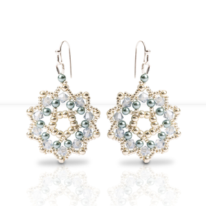 Picture of Accessories, Earring, Jewelry
