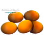 Picture of Food, Citrus Fruit, Fruit, Orange, Plant, Produce, Egg with text POTOMACBEADS.