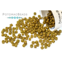 Picture of Bean, Food, Produce, Pill with text POTOMACBEADS Potomac B Potomac B.