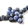 Picture of Berry, Blueberry, Food, Fruit, Plant, Produce, Accessories, Jewelry, Necklace