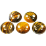 Picture of Accessories, Sphere, Gemstone, Jewelry, Animal, Insect, Invertebrate