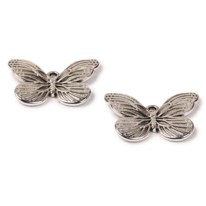 Picture of Accessories, Earring, Jewelry, Silver