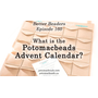 Picture of Handbag, Cardboard, Text with text Episode 160 What is the Potomacbeads 10 Advent Calenda...