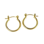 Picture of Accessories, Earring, Jewelry, Hoop, Gold