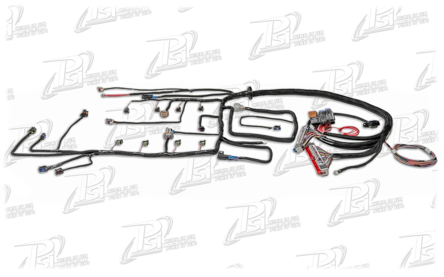 1999 - 2003 Vortec W/ 4L60E Standalone Wiring Harness (DBC)