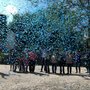 10 small single-use confetti cannons
