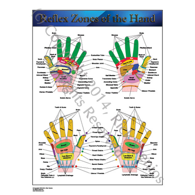 Art: Reflexology Chart - Reflex Zones of the Hand