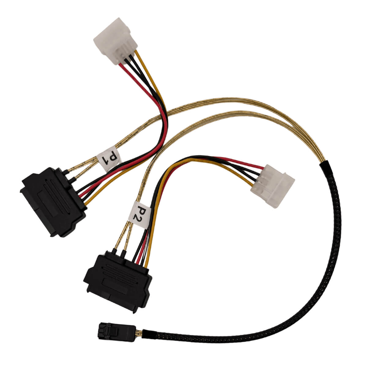 Picture of Adapter, Electronics, Cable with text P2 P1.