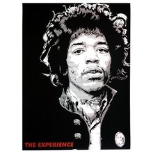 Josh Budich "The Experience" Signed Screen Print